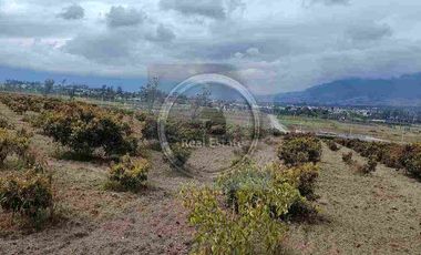 Se vende 20 hectáreas             6 hectáreas.                       4 hectárea de terreno a 10 dolares cada mts2.