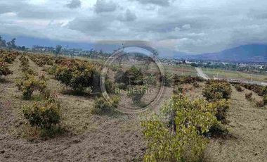 Se vende 20 hectáreas             6 hectáreas.                       4 hectárea de terreno a 10 dolares cada mts2.