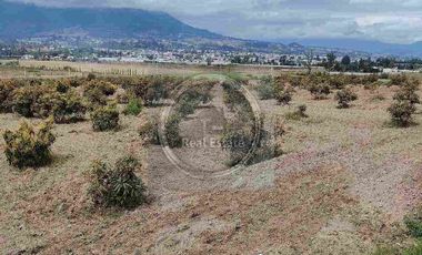 Se vende 20 hectáreas             6 hectáreas.                       4 hectárea de terreno a 10 dolares cada mts2.