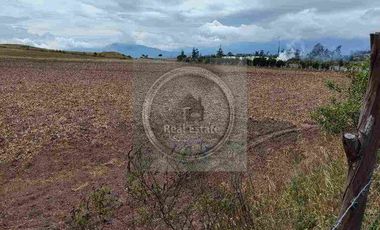 Se vende 20 hectáreas             6 hectáreas.                       4 hectárea de terreno a 10 dolares cada mts2.