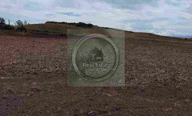 Se vende 20 hectáreas             6 hectáreas.                       4 hectárea de terreno a 10 dolares cada mts2.