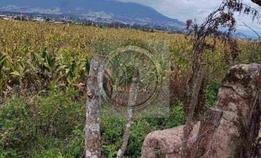 Se vende 20 hectáreas             6 hectáreas.                       4 hectárea de terreno a 10 dolares cada mts2.