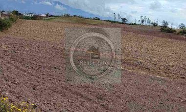 Se vende 20 hectáreas             6 hectáreas.                       4 hectárea de terreno a 10 dolares cada mts2.