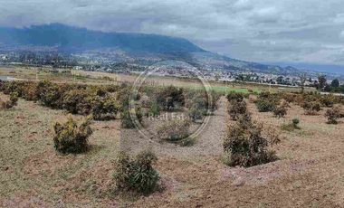 Se vende 20 hectáreas             6 hectáreas.                       4 hectárea de terreno a 10 dolares cada mts2.