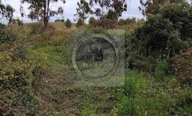 Se vende 20 hectáreas             6 hectáreas.                       4 hectárea de terreno a 10 dolares cada mts2.