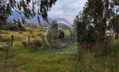 Se vende 20 hectáreas             6 hectáreas.                       4 hectárea de terreno a 10 dolares cada mts2.