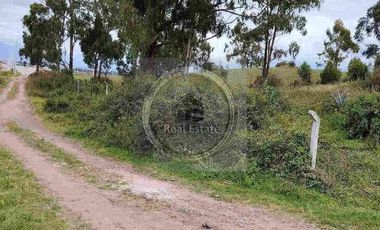 Se vende 20 hectáreas             6 hectáreas.                       4 hectárea de terreno a 10 dolares cada mts2.