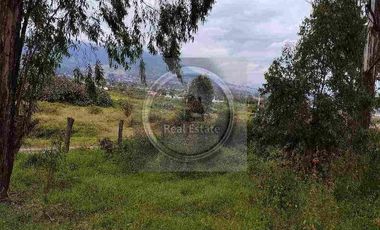 Se vende 20 hectáreas             6 hectáreas.                       4 hectárea de terreno a 10 dolares cada mts2.