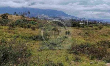 Se vende 20 hectáreas             6 hectáreas.                       4 hectárea de terreno a 10 dolares cada mts2.