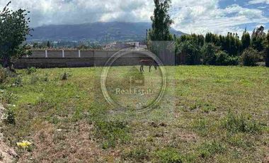 Se vende 20 hectáreas             6 hectáreas.                       4 hectárea de terreno a 10 dolares cada mts2.