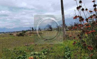 Se vende 20 hectáreas             6 hectáreas.                       4 hectárea de terreno a 10 dolares cada mts2.