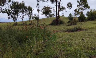Se vende 20 hectáreas             6 hectáreas.                       4 hectárea de terreno a 10 dolares cada mts2.