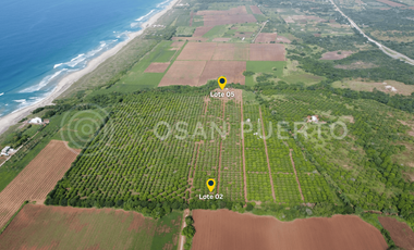 SE VENDEN  terreno de oportunidad en Playa Plataforma, Puerto Escondido
