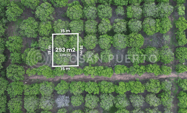 SE VENDEN  terreno de oportunidad en Playa Plataforma, Puerto Escondido