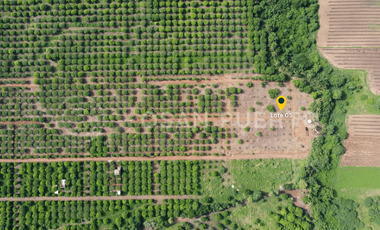 SE VENDEN  terreno de oportunidad en Playa Plataforma, Puerto Escondido