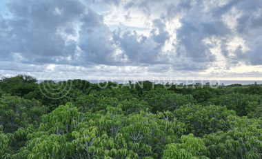 SE VENDEN  terreno de oportunidad en Playa Plataforma, Puerto Escondido
