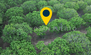 SE VENDEN  terreno de oportunidad en Playa Plataforma, Puerto Escondido