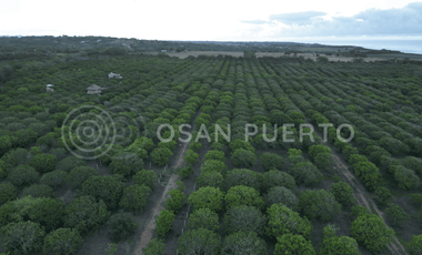 SE VENDEN  terreno de oportunidad en Playa Plataforma, Puerto Escondido