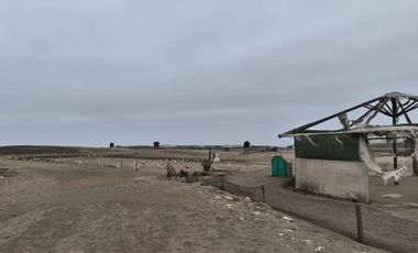 Terreno en Chancay de 314 hectáreas