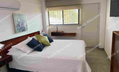 ALQUILO HERMOSO DEPARTAMENTO