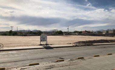 TERRENO COMERCIAL EN RENTA CALLE HENEQUÉN Y JUMANOS