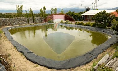 VENTA CASA DE CAMPO EN MIRA TERRENO EN PRODUCCION