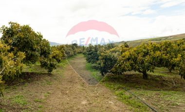 VENTA CASA DE CAMPO EN MIRA TERRENO EN PRODUCCION