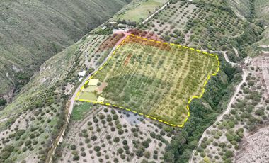 VENTA CASA DE CAMPO EN MIRA TERRENO EN PRODUCCION