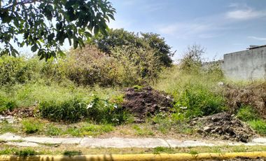 Terreno en Burgos ,Morelos