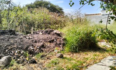 Terreno en Burgos ,Morelos