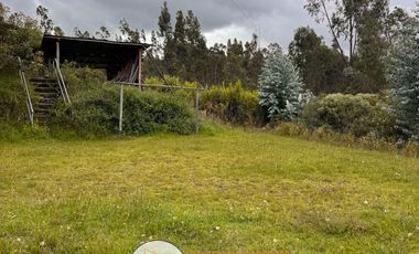 AMPLIA PROPIEDAD EN VENTA, Sector Guabizhun Zinin C1491