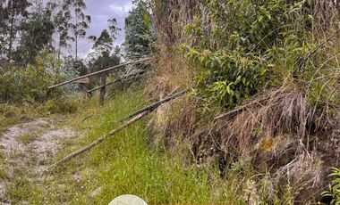 AMPLIA PROPIEDAD EN VENTA, Sector Guabizhun Zinin C1491