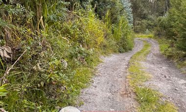 AMPLIA PROPIEDAD EN VENTA, Sector Guabizhun Zinin C1491