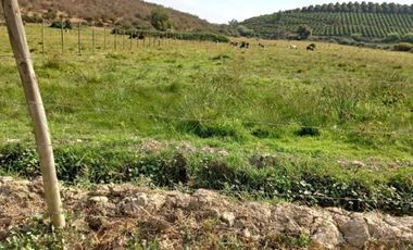 Venta Parcela de Agrado, Melipilla