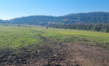 Venta Parcela de Agrado, Melipilla