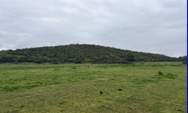 Venta Parcela de Agrado, Melipilla