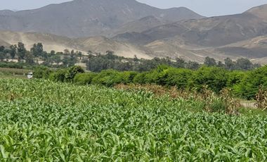 VENTA DE TERRENO EN EL HATILLO, CHANCAY, HUARAL