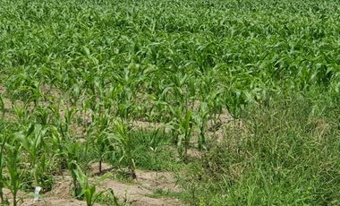 VENTA DE TERRENO EN EL HATILLO, CHANCAY, HUARAL