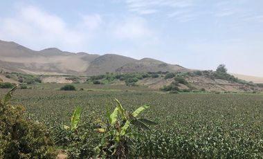 VENTA DE TERRENO EN EL HATILLO, CHANCAY, HUARAL