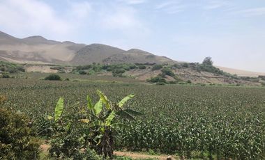 VENTA DE TERRENO EN EL HATILLO, CHANCAY, HUARAL