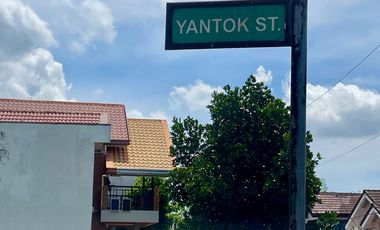 Avida Residential Lot For Sale - Inner Lot at 123 sqm