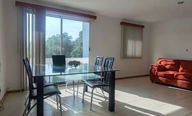 DEPARTAMENTO AMUEBLADO EN RENTA , ATRAS DE PLAZA SAN DIEGO FRACC. CON VIGILANCIA Y ÁREA VERDE