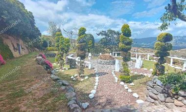 RENTO QUINTA SECTOR LA MERCED