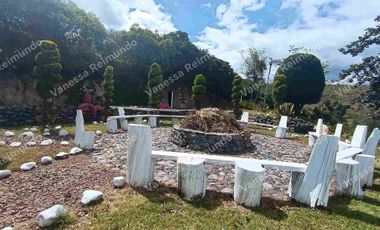 RENTO QUINTA SECTOR LA MERCED