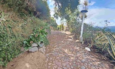 RENTO QUINTA SECTOR LA MERCED