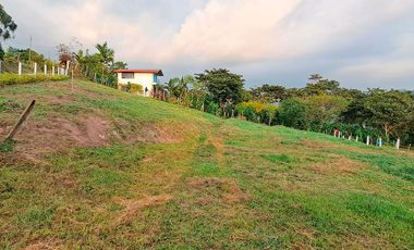 LOTE RURAL SILVANIA