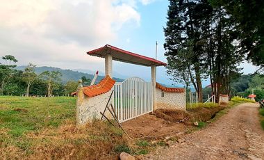 LOTE RURAL SILVANIA
