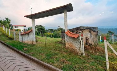 LOTE RURAL SILVANIA