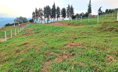 LOTE RURAL SILVANIA