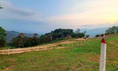 LOTE RURAL SILVANIA